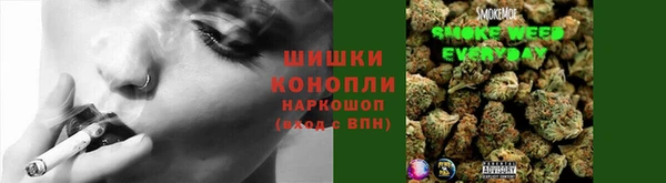ПСИЛОЦИБИНОВЫЕ ГРИБЫ Алзамай