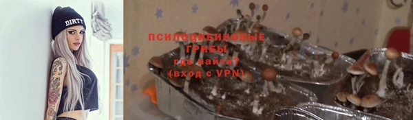 ПСИЛОЦИБИНОВЫЕ ГРИБЫ Алзамай