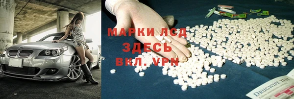 ПСИЛОЦИБИНОВЫЕ ГРИБЫ Алзамай